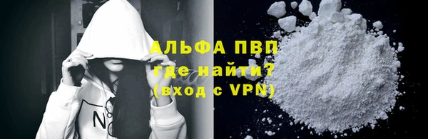 прущие грибы Богородск