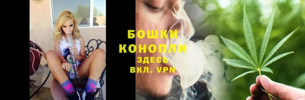 прущие грибы Богородск