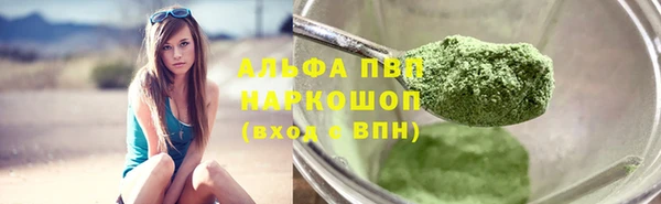 сатива Дмитровск