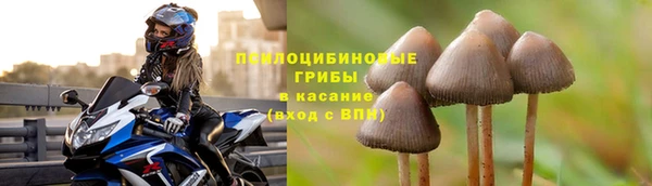 шишки Беломорск
