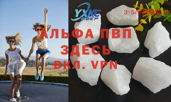 гашик Ельня
