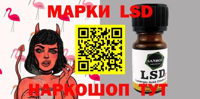 индика Аша