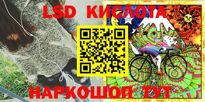 индика Аша