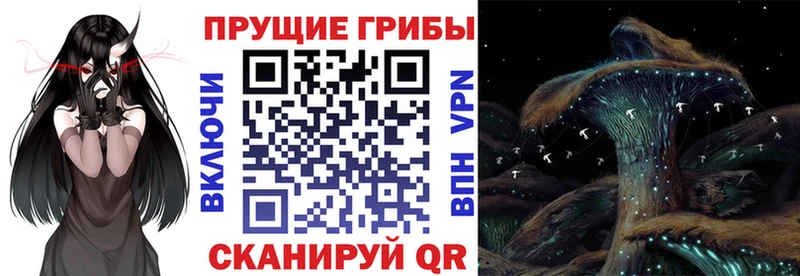 omg ссылки  Верхняя Пышма  Псилоцибиновые грибы GOLDEN TEACHER 