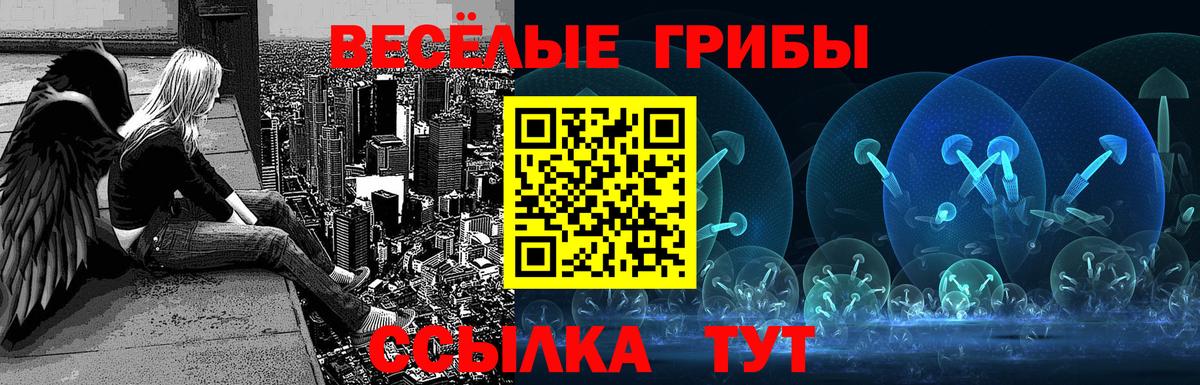 Верхняя Пышма  Псилоцибиновые грибы MAGIC MUSHROOMS  Вход с VPN 
