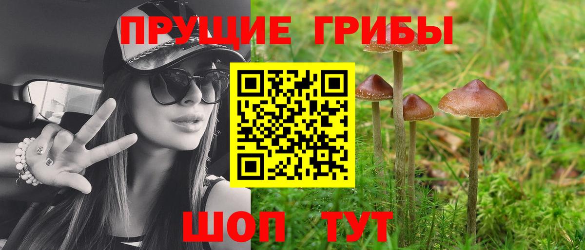 Псилоцибиновые грибы MAGIC MUSHROOMS Верхняя Пышма